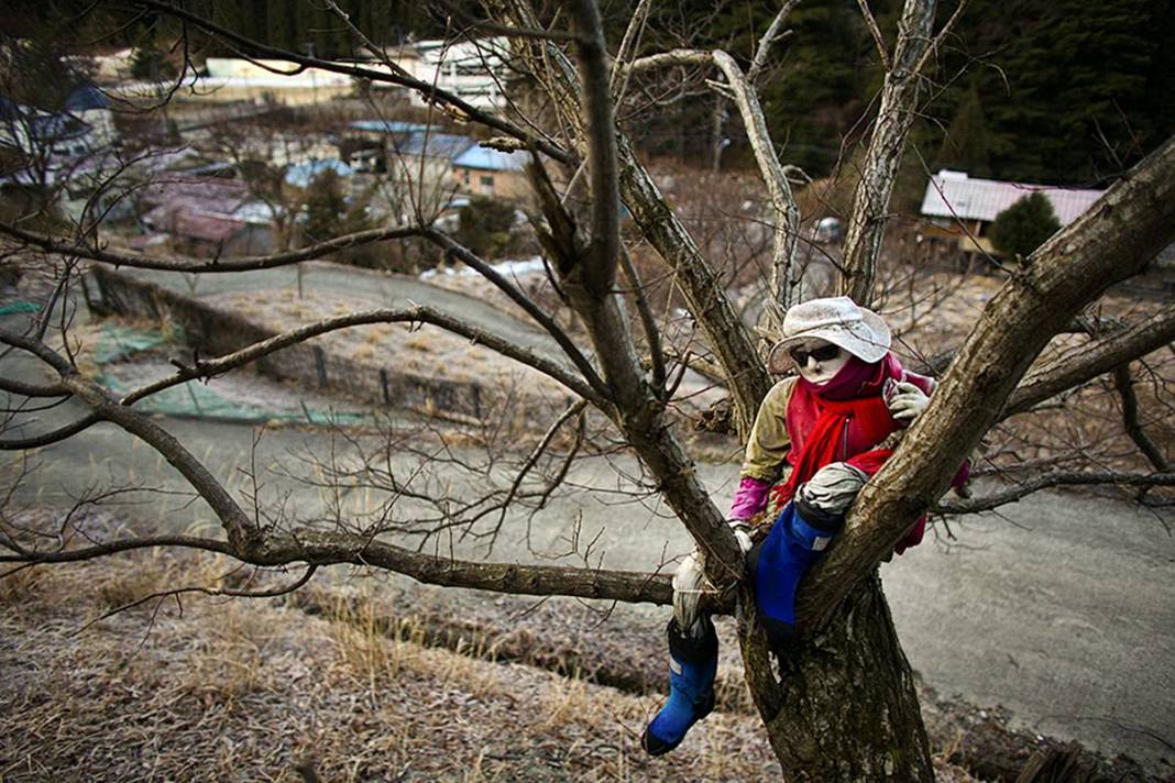 Bu köye gelenler gözlerine inanamıyor: Tüyler ürperten manzara! Hepsi yetişkin insan boyutlarında 4